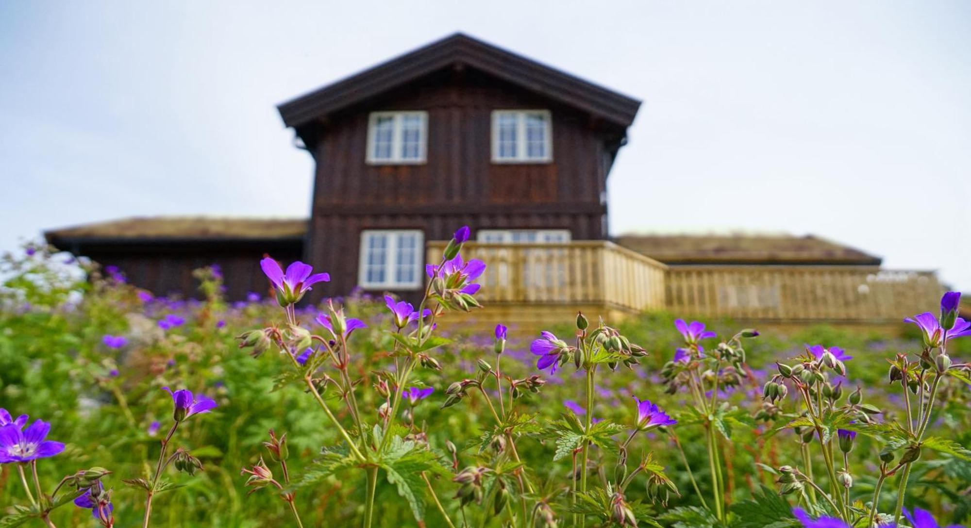 Villa Rauland Feriesenter Esterno foto